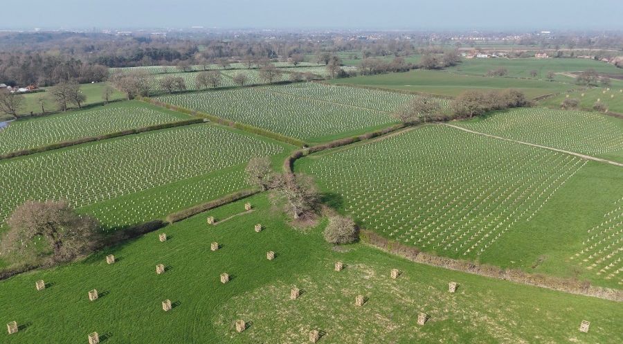 Green-tech supports CLECO with large-scale woodland creation scheme  