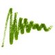 Creion de ochi Max Factor Liquid Effect Pencil Green Glow