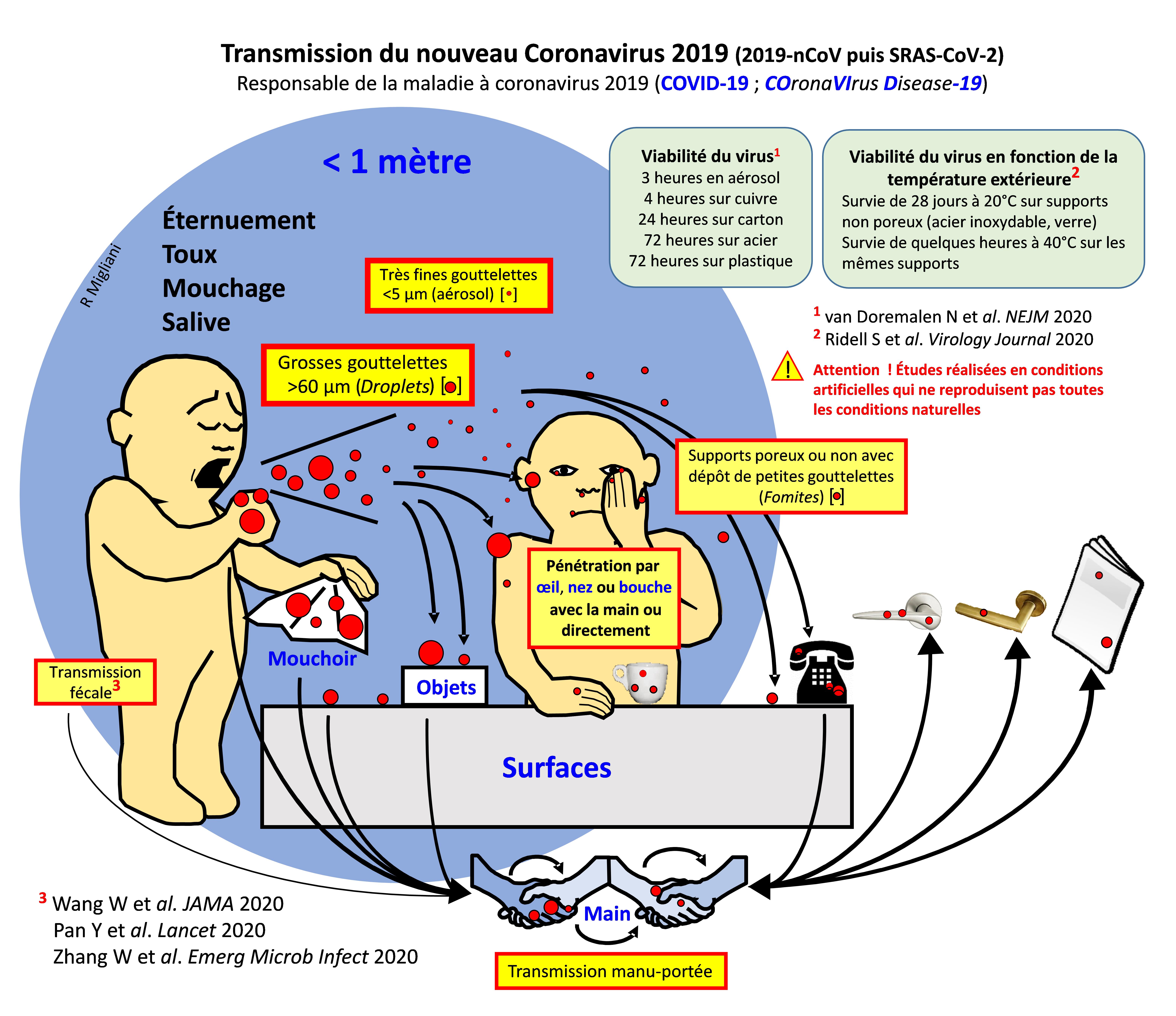 Situation de la pandémie de covid 19 N° 11 1er décembre 2020 (Partie 3)
