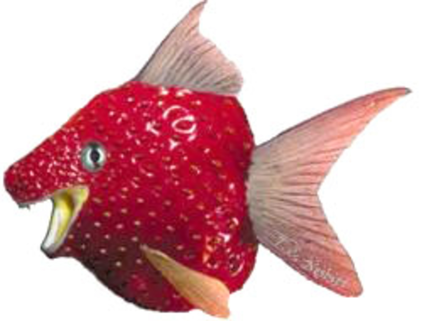 Strawberry - jpg fish