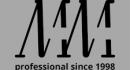 Mario Professional