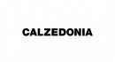 Calzedonia
