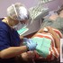Studio Dentistico Dr.ssa Andrea Cristina Gouveia