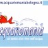 Acquariomania Sas