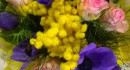La Rosa Di Mare Di rosanna