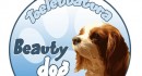 Beauty Dog di Castelli Barbara