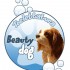 Beauty Dog di Castelli Barbara