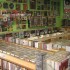 Il Baule Della Musica