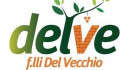Delve Servizi