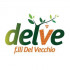 Delve Servizi