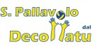 A.S.D. Pallavolo Decollatura