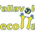 A.S.D. Pallavolo Decollatura