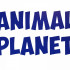 Animal Planet