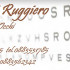 Palmieri Dr. Ruggiero