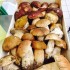 Trieste Funghi Ingross