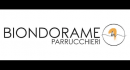 Biondorame Parrucchieri