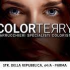 ColorTerry