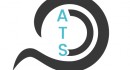 Anima Translation Service