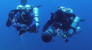 UNDERWATER VISITORS