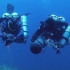 UNDERWATER VISITORS