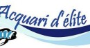 Acquari d'élite