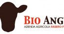 Bio Angus
