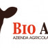 Bio Angus