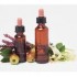 Naturopata Paola Cantù