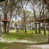 Il Parco dei Pini Adventure Park