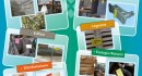 TIPOESSE srl