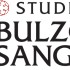 Studio Bulzoni Sangiorgi - Brisighella (RA)