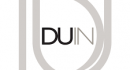 Duin