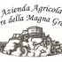 Azienda Agricola Terre della Magna Grecia S.A.r.l.