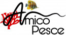 Amico Pesce di Panebianco Giovanni