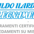 Aldo Ilardi