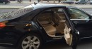 Airport Shuttle Italy