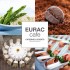 Catering & Events