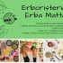 Erboristeria Erba Matta