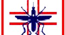 S.I.S. Srl