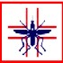 S.I.S. Srl