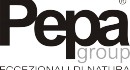 Pepa Trasporti s.r.l. - Trasporti Eccezionali