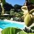B&B Il Giardino Mediterraneo