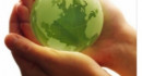 Greenproject4