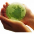 Greenproject4