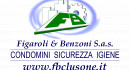 Figaroli & Benzoni S.a.s.