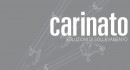 Carinato gru elettriche