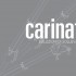 Carinato gru elettriche