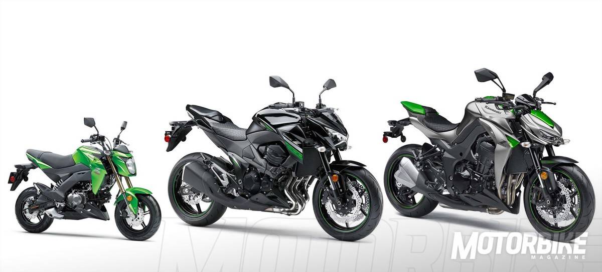 kawasaki-z125-pro-2017-03