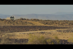 Triumph Tiger 900 2020 teaser 16