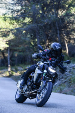 BMW F 900 R 2020 presentacion prueba 04